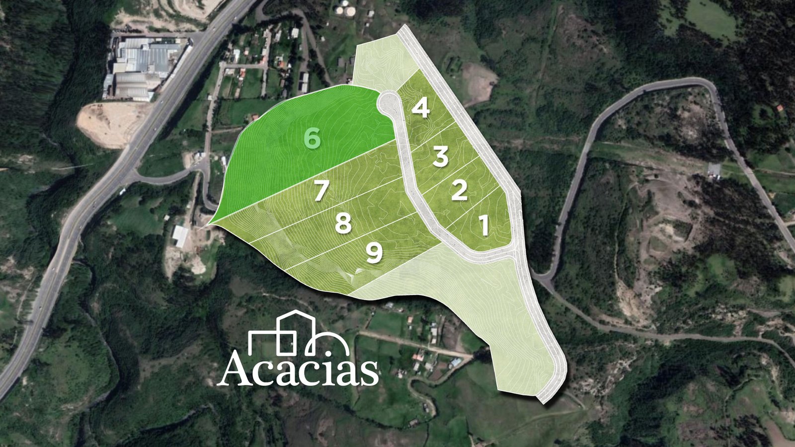 Lote 6