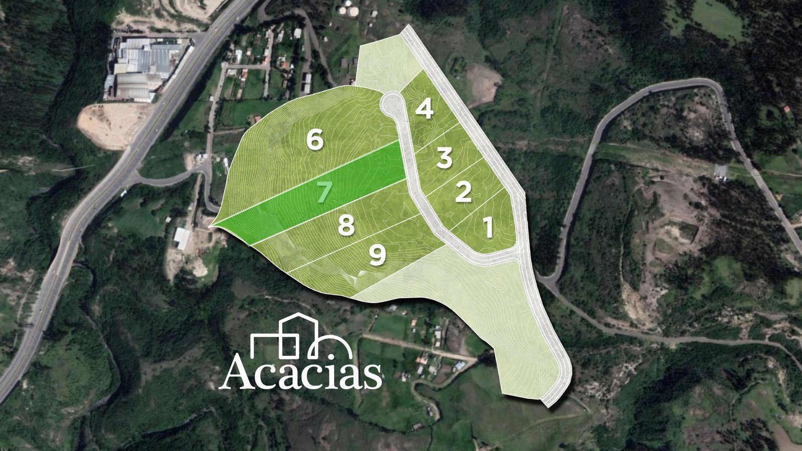 Lote 7