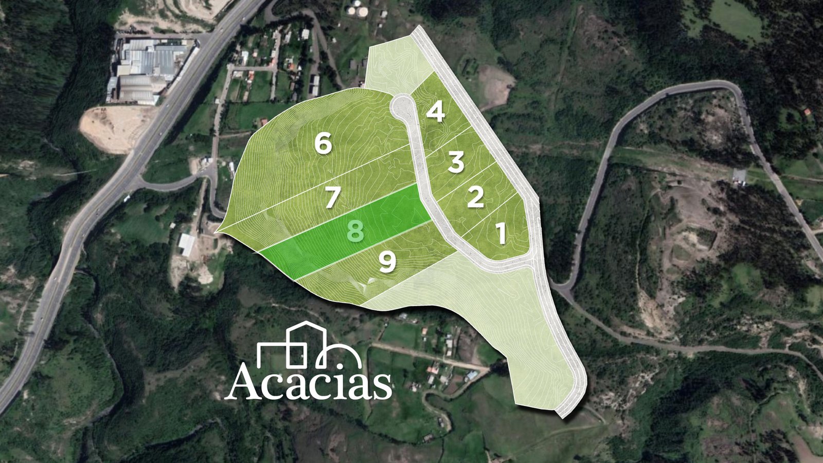 Lote 8